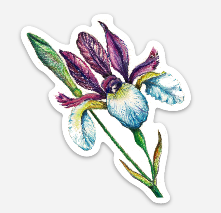 Screenshot 2026-03-23 170409.png