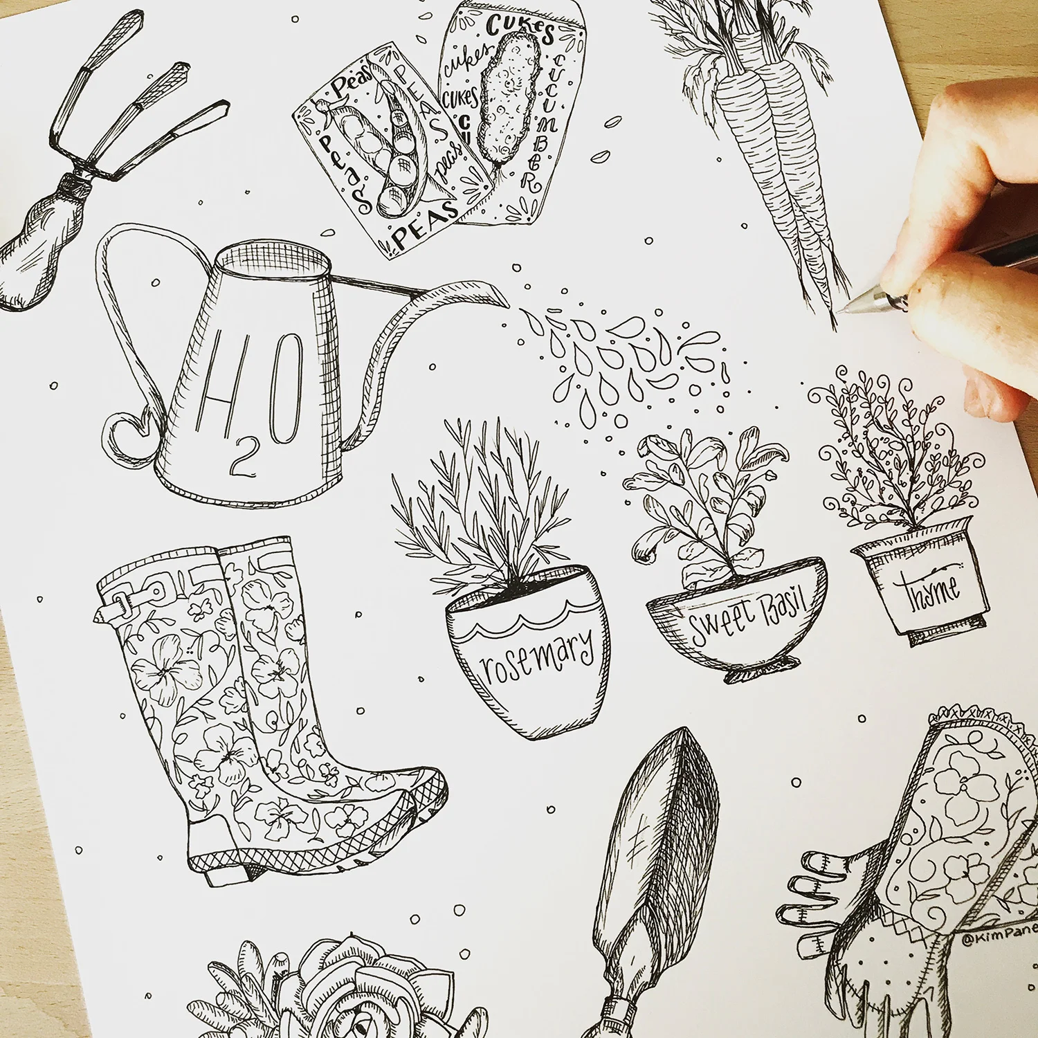illo-garden.jpg