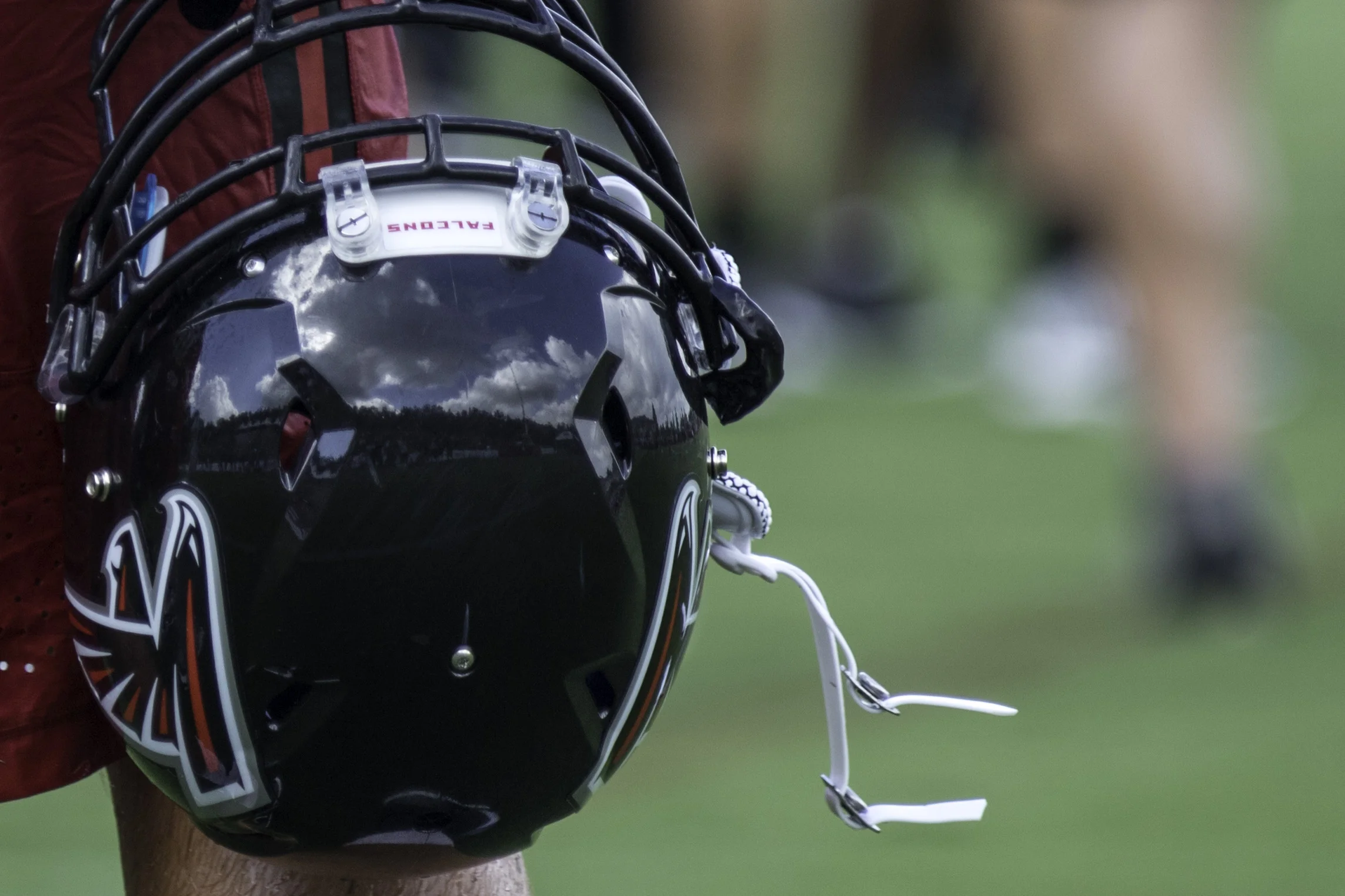 FalconsTrainingCamp'16_26.jpg