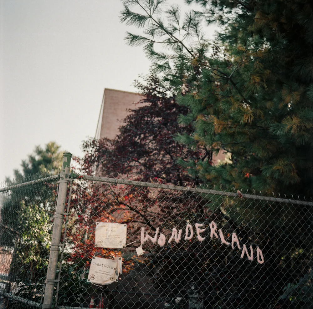 img-LR-3.jpg