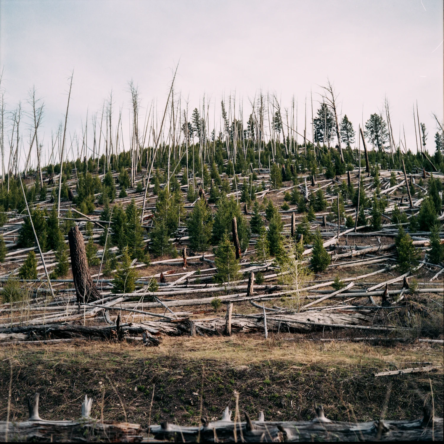 img-23.jpg