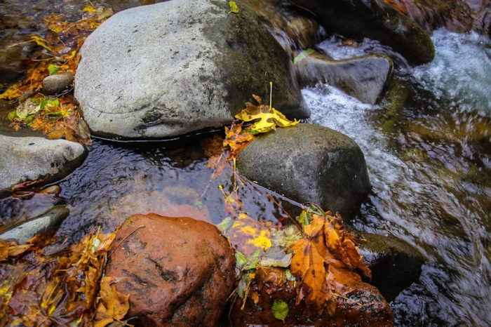 Salmon River, Oregon