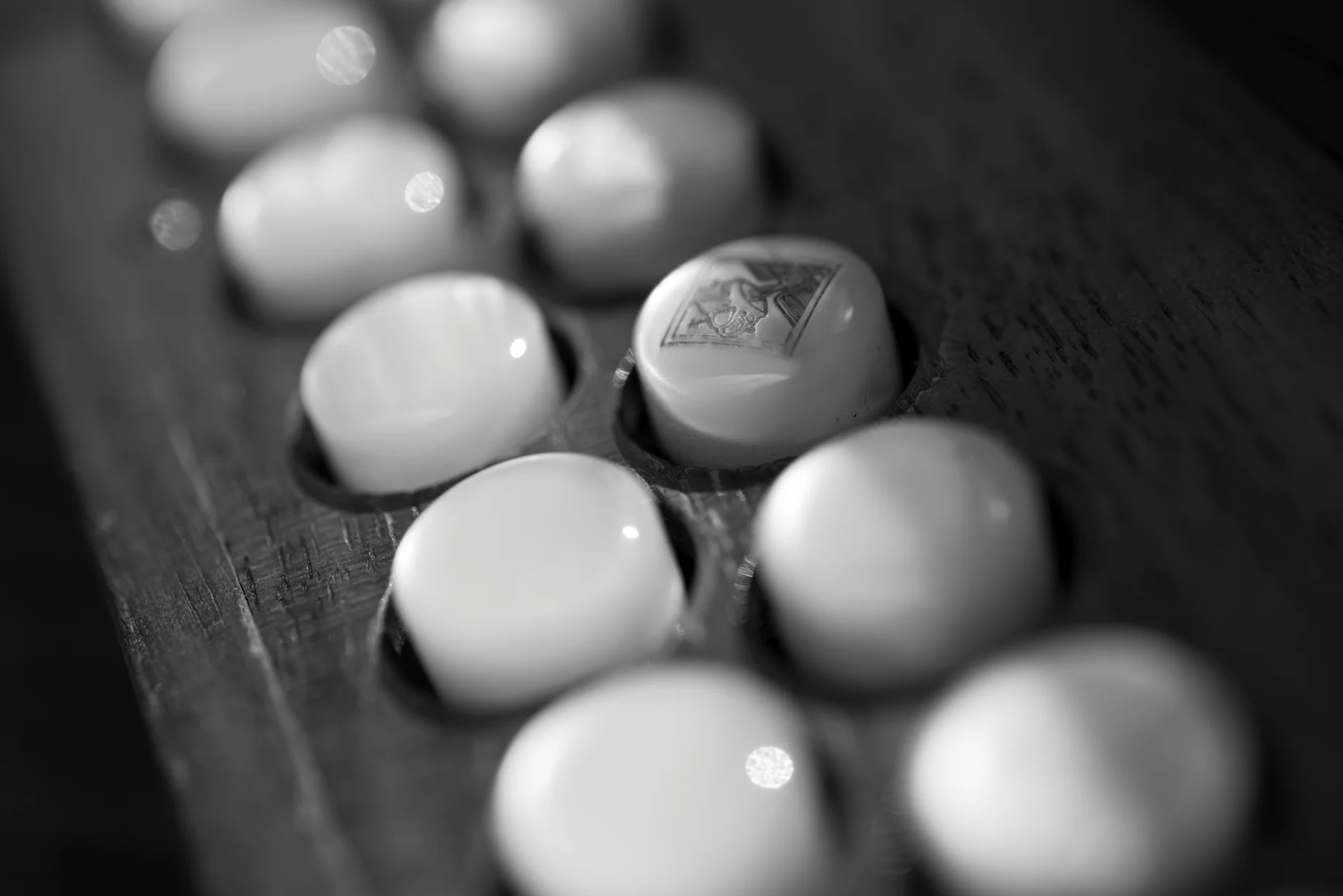 Photo by Marc Lafrenière. 