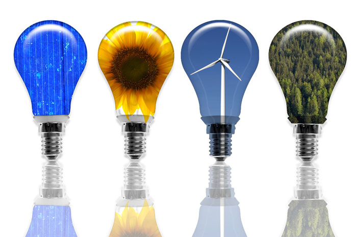Green energy light bulbs