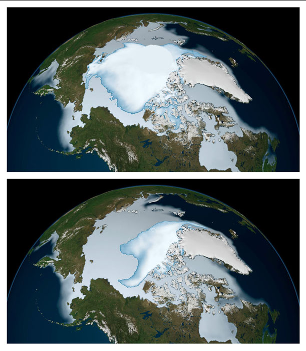 Decrease in Arctic Sea Ice