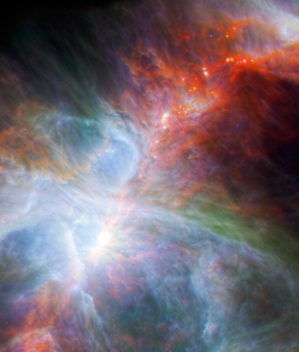Fledgling Stars in Orion Nebula