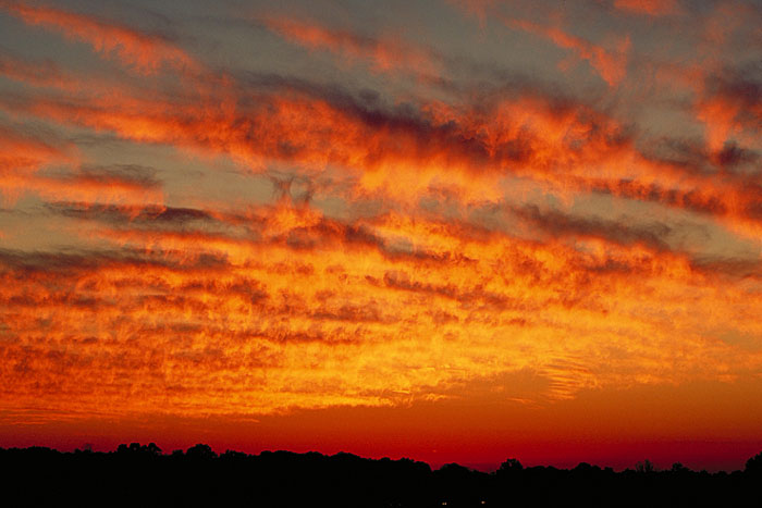 Cirrus clouds