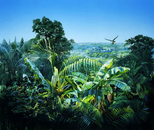 Rainforest Canopy
