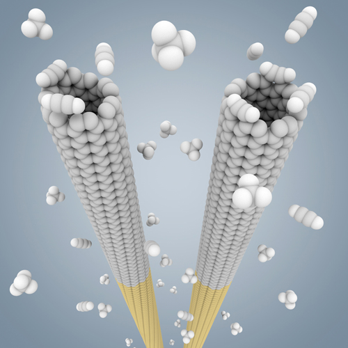 Cloning Nanotubules