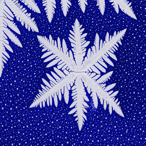 Graphene Snowflake