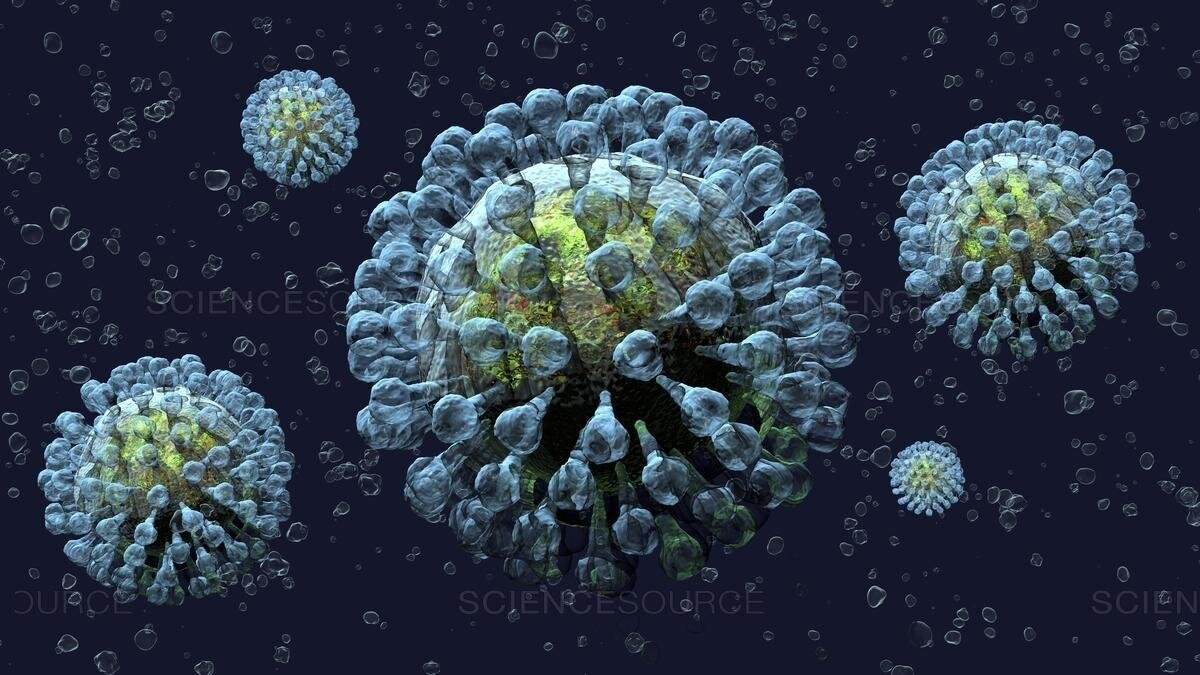 Coronavirus particles