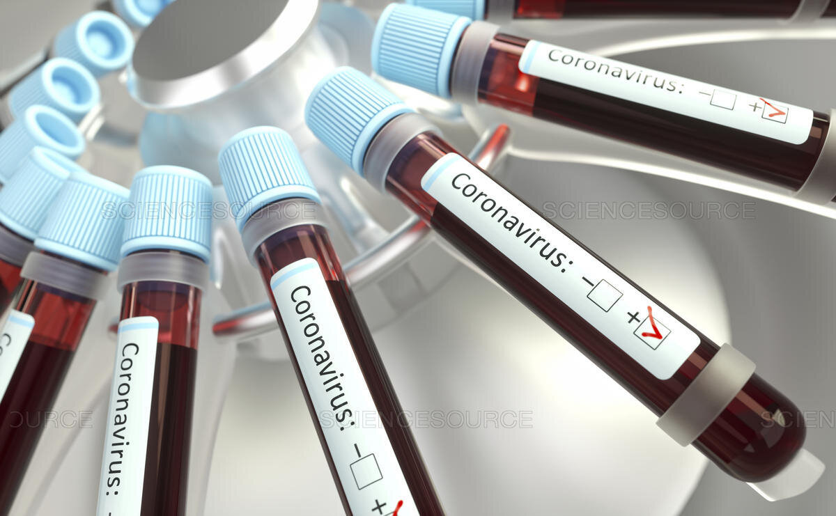 Coronaviruses research, conceptual illustration