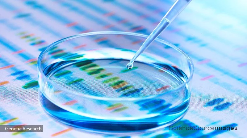 Scientific Source Image Science & Medical Stock Images | Science Source