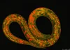Exploring Microscopy: Ultimate List of Microscope Types With Image ...