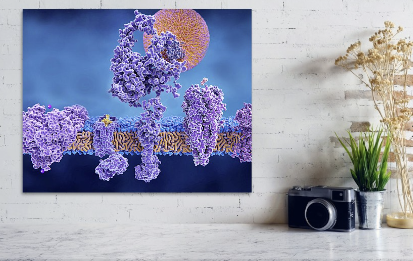 3D illustration appearing as a poster