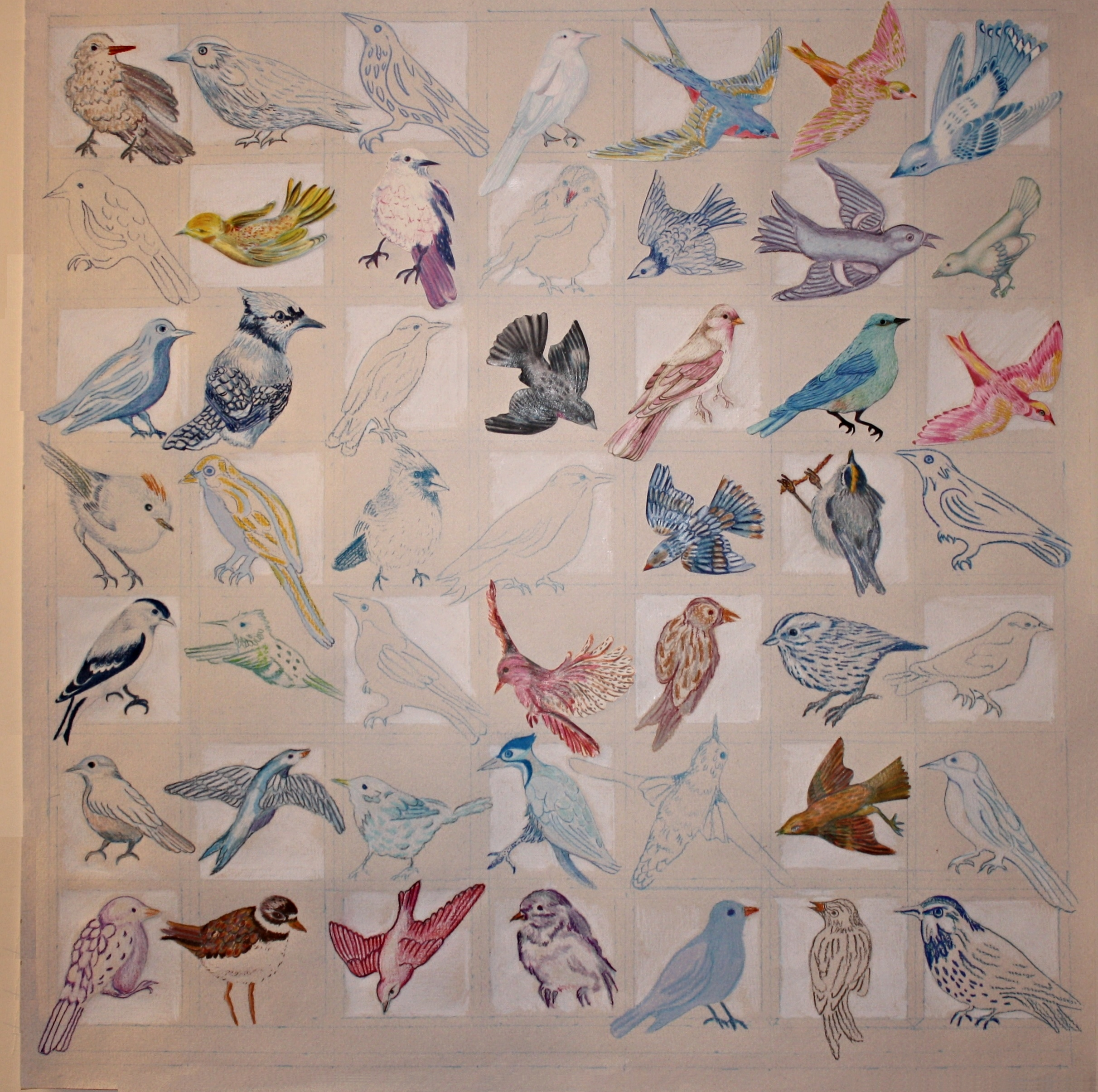 Bird Chart