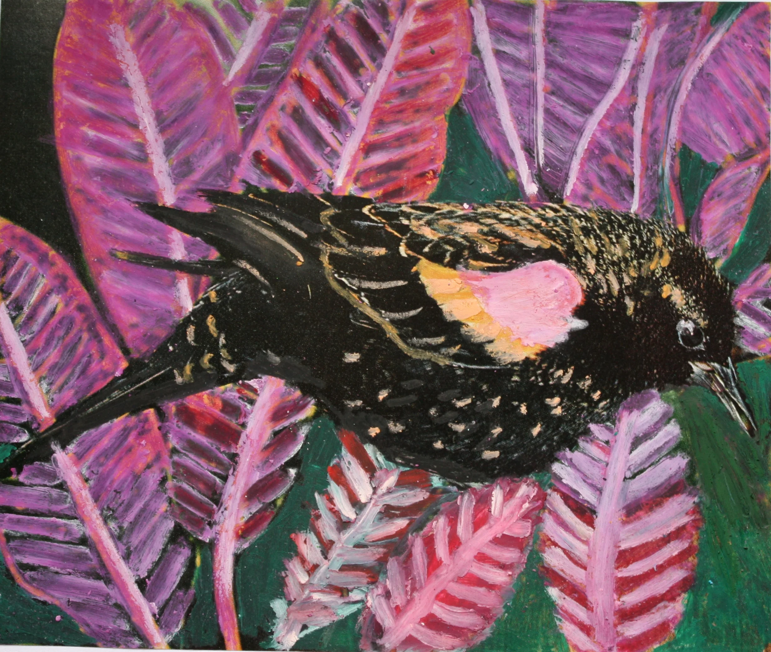 BIRD COLLAGE 16.JPG