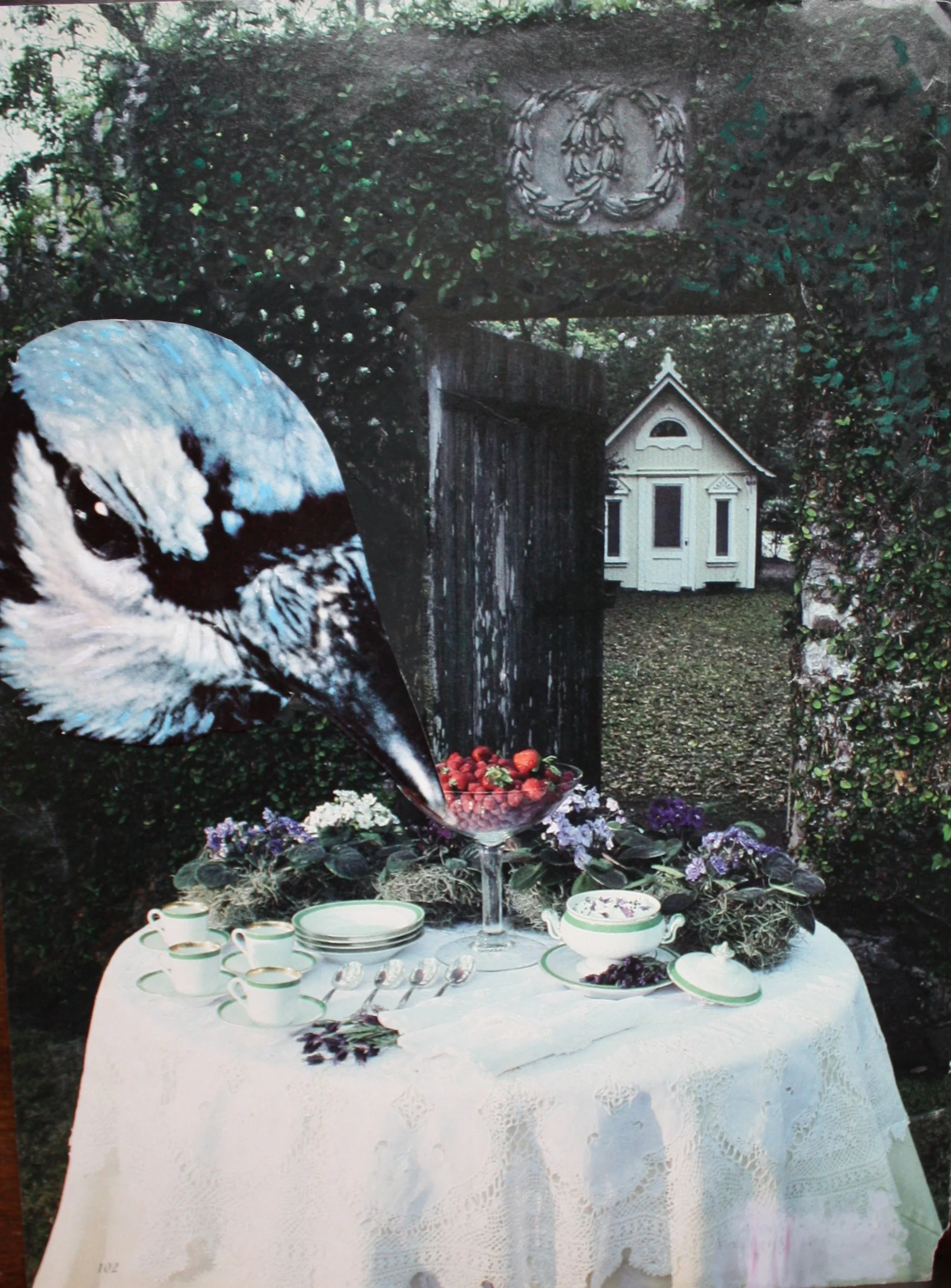 BIRD COLLAGE 24.JPG