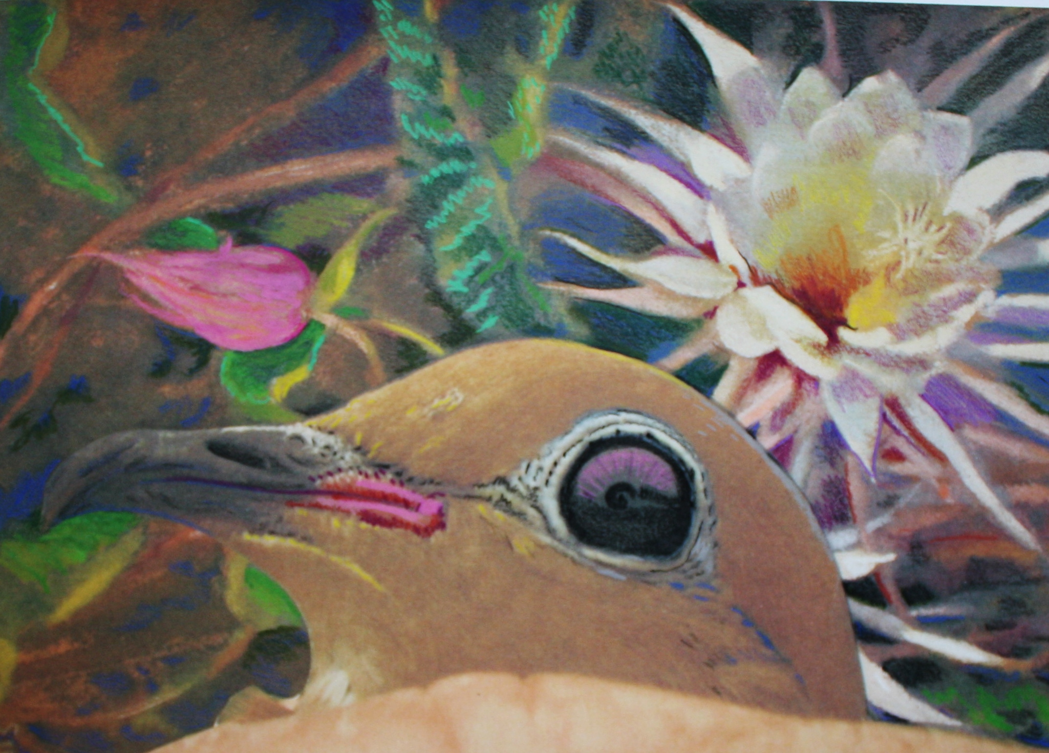 BIRD COLLAGE 23.JPG