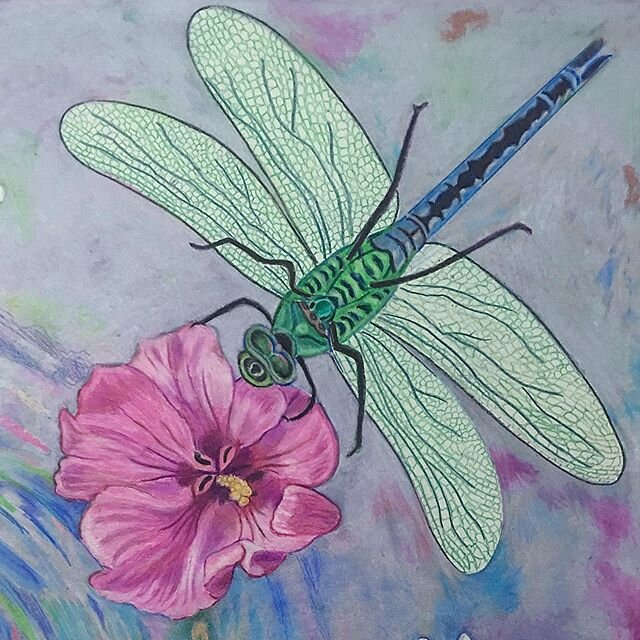 A detail from my newest drawing. #drawing #fineart #dragonfly #flowers &copy;sheilahgrogan