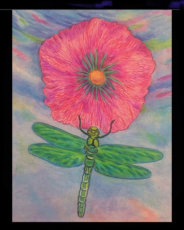 #dragonflies #drawing #details