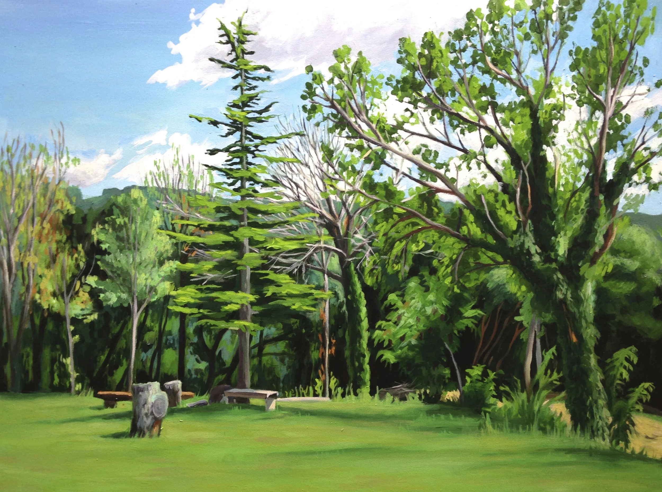Foglie di Studio d'Arte Ginestrelle, Oil on canvas, 24" x 32", 2014
