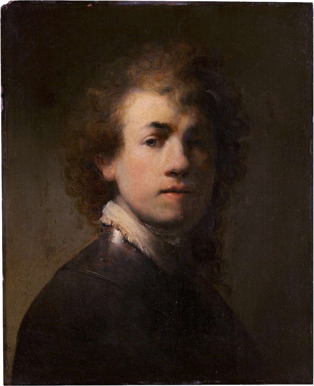 Rembrandt van Rijn, Self-Portrait, 1629, Oil on canvas