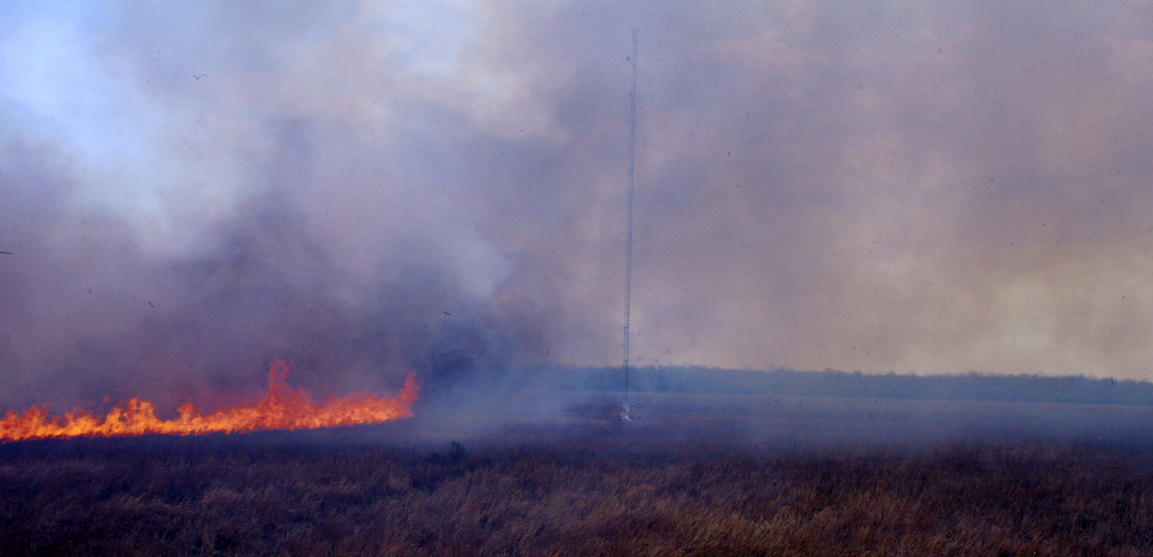 Fire front front moving towards the 43 m tall meteorological instrument tower during FireFlux, 23 Feburary 2006.