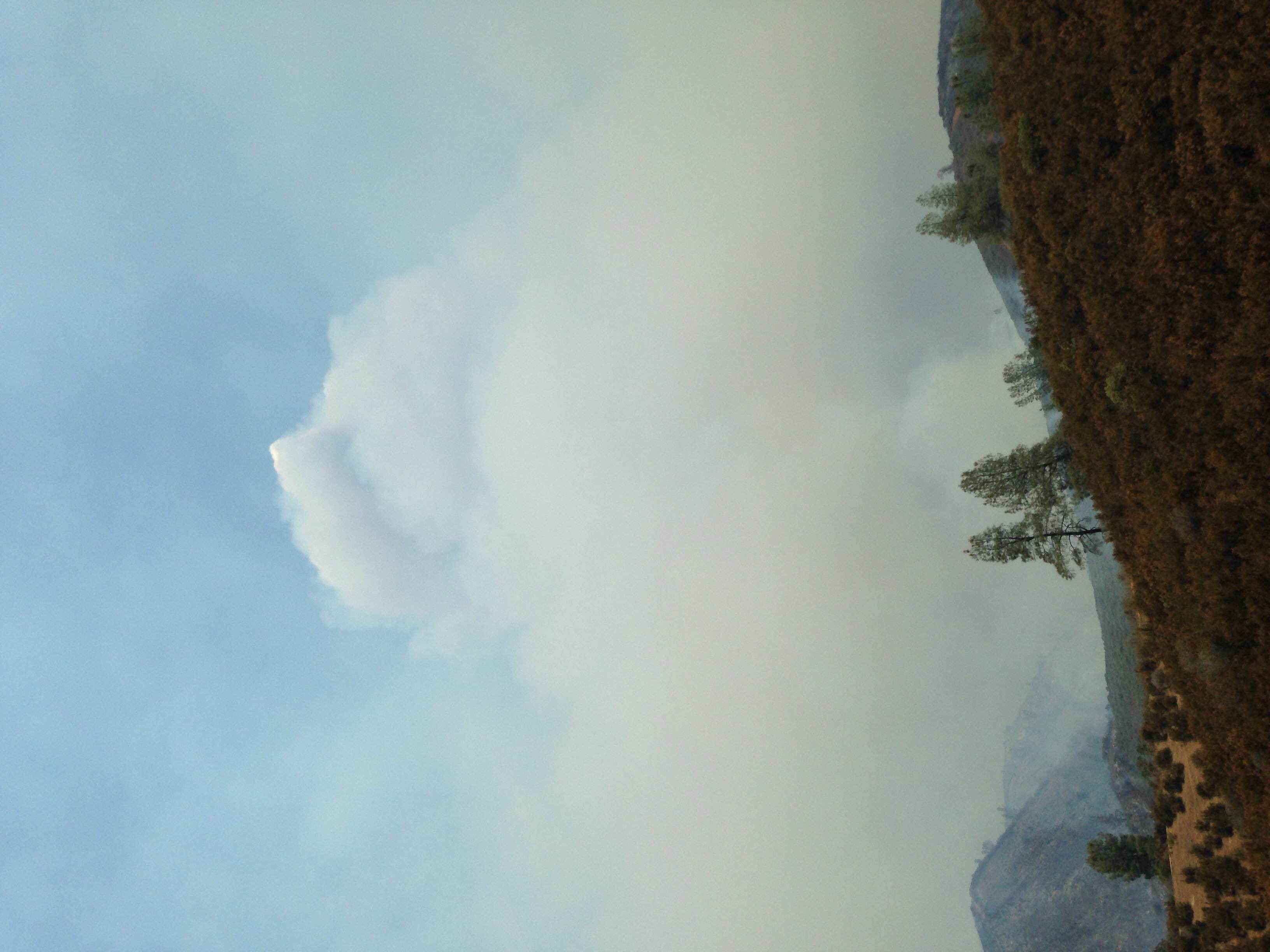 Tenuous pyrocumulus