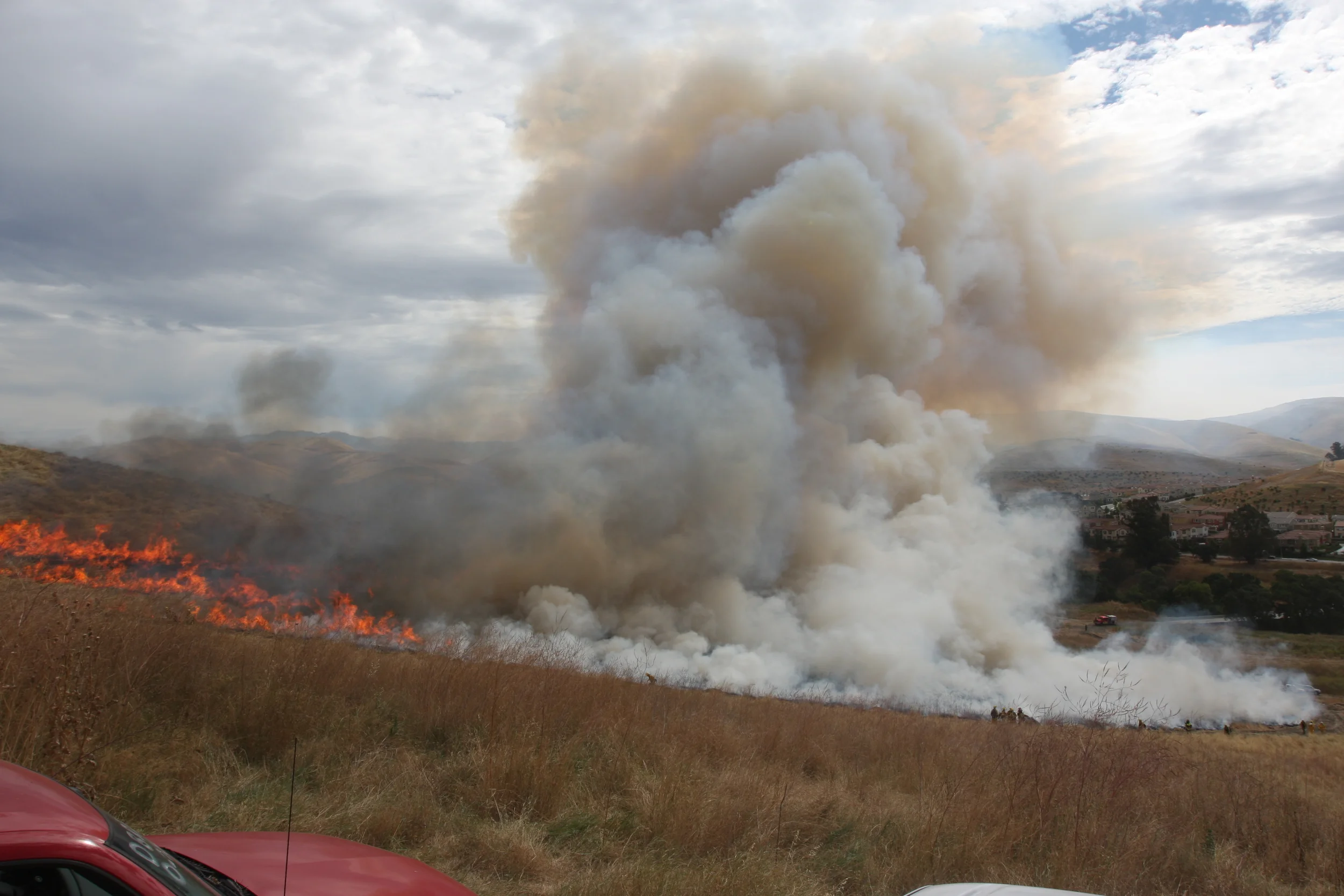 Prescribed fire experiment at camp parks, Ca July 2010. Ignition by Marin County fire crew. 