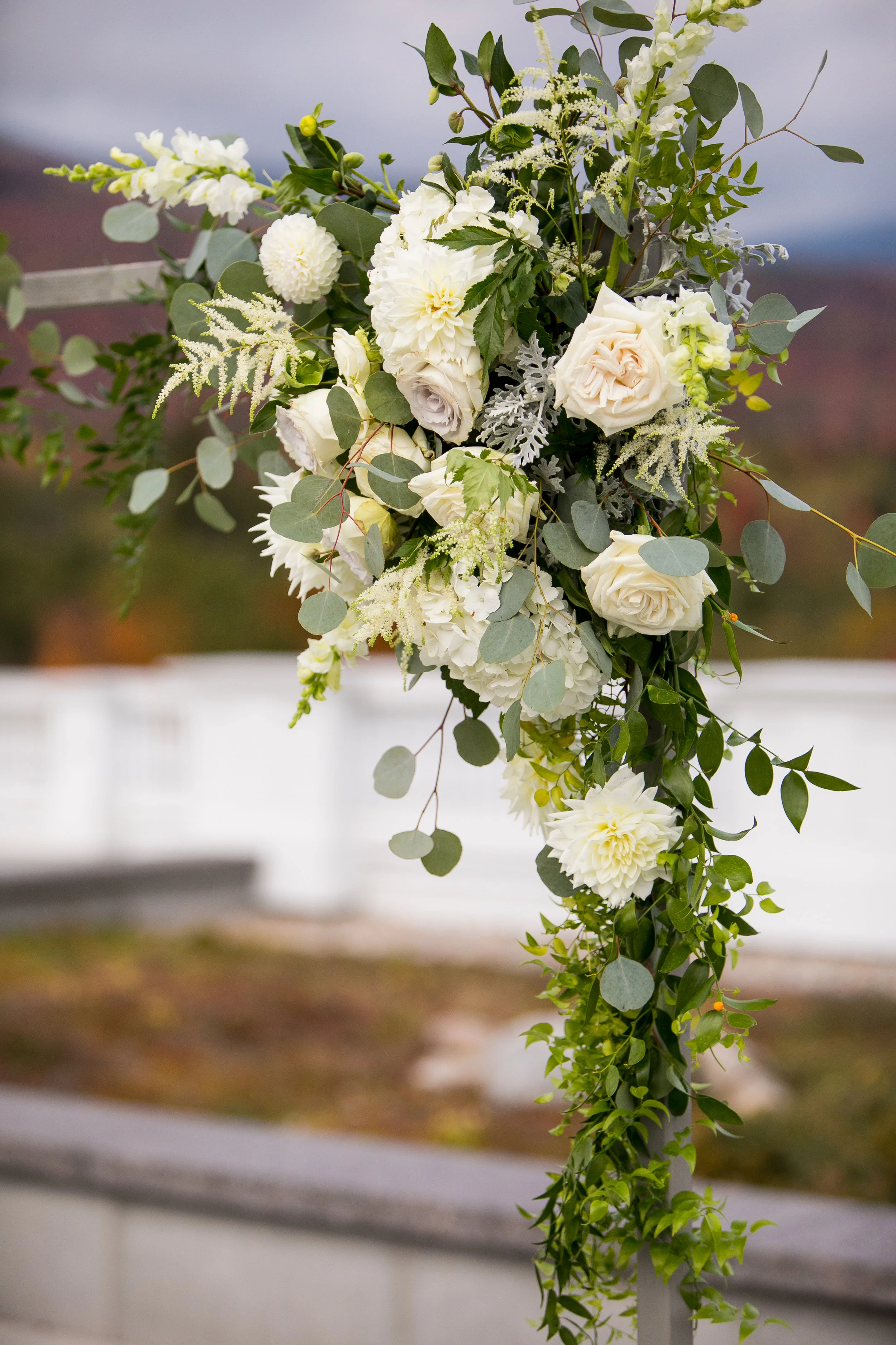 details061.jpg
