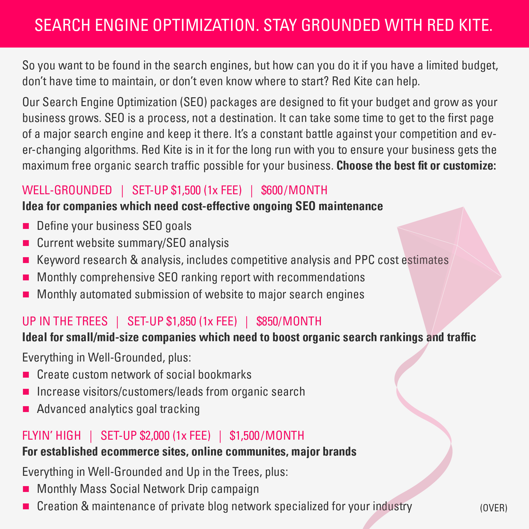  Informational handout on search engine optimization packages and pricing (FRONT) 