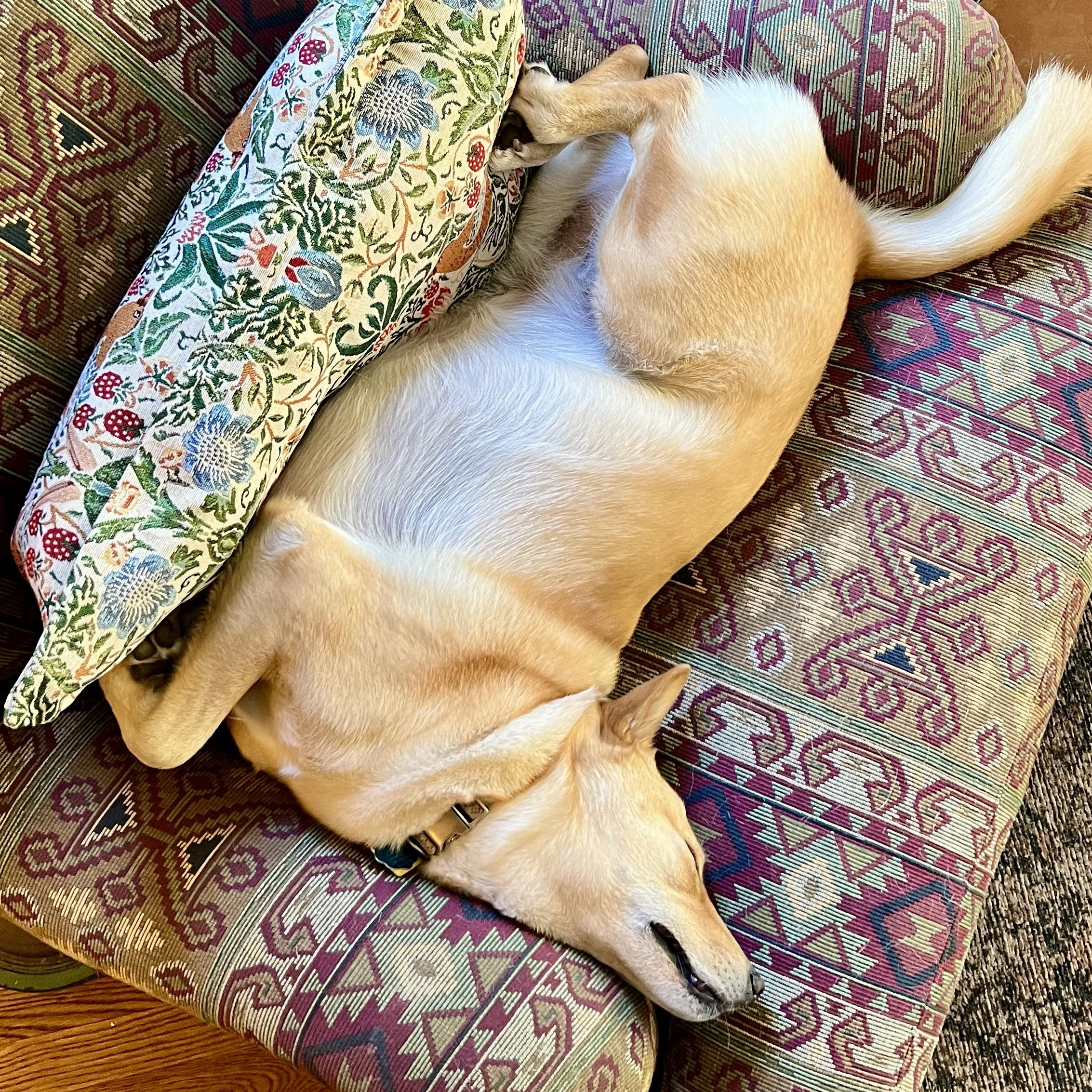  one of Rory’s favorite sleeping positions 