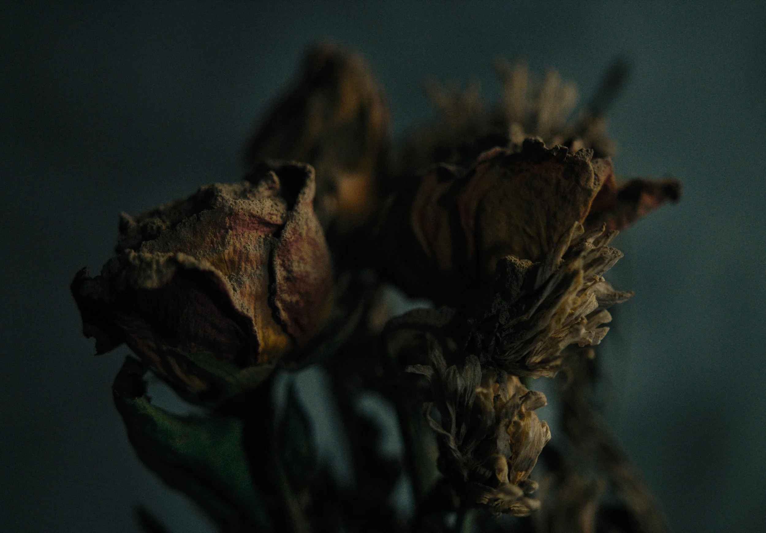 01.00.07.04_1.1.1 copy.jpg