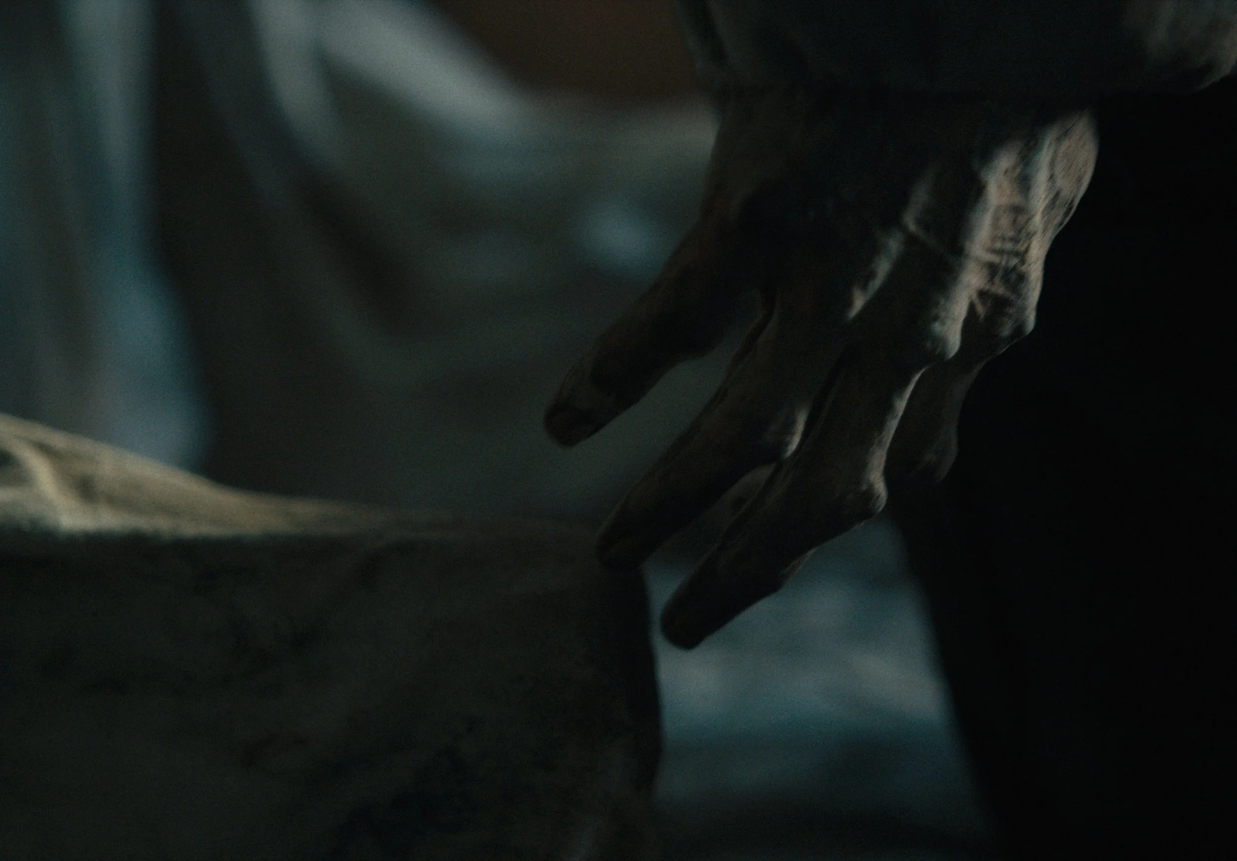 01.02.05.18_1.21.2 copy.jpg