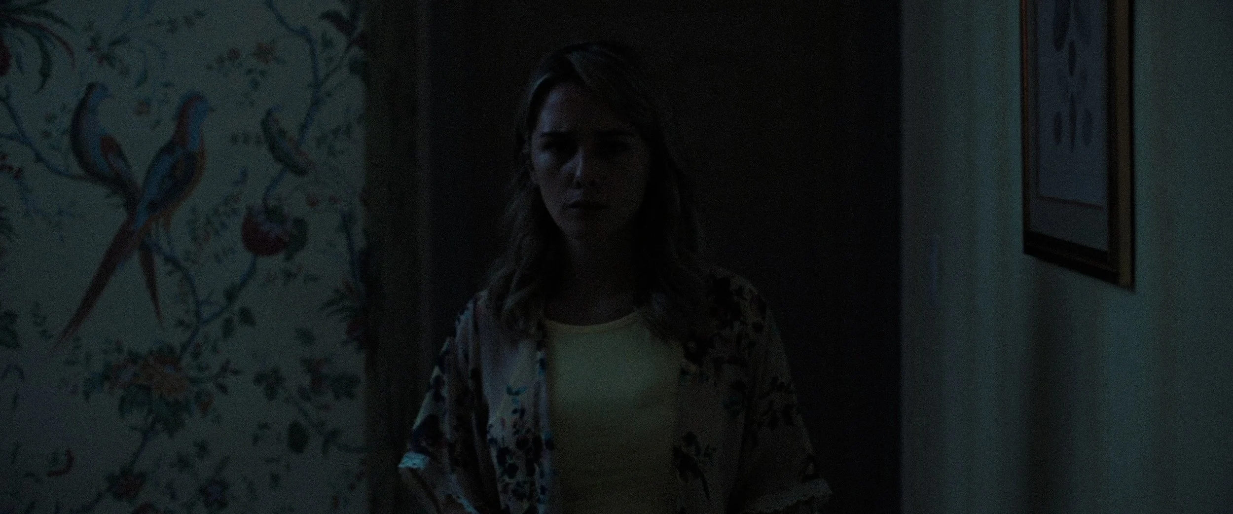 FireShot Capture 030 - Watch Life Like - Prime Video - www.amazon.com.jpg