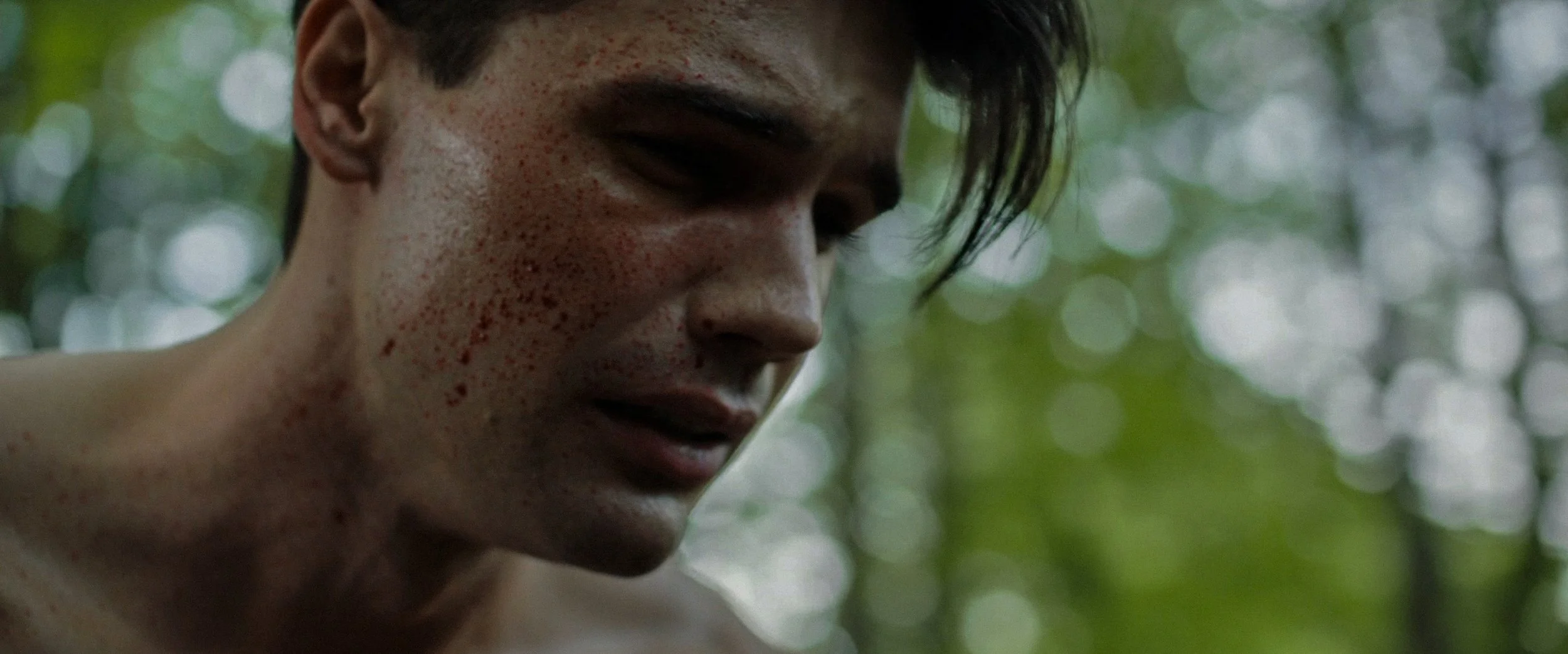 FireShot Capture 067 - Watch Life Like - Prime Video - www.amazon.com.jpg