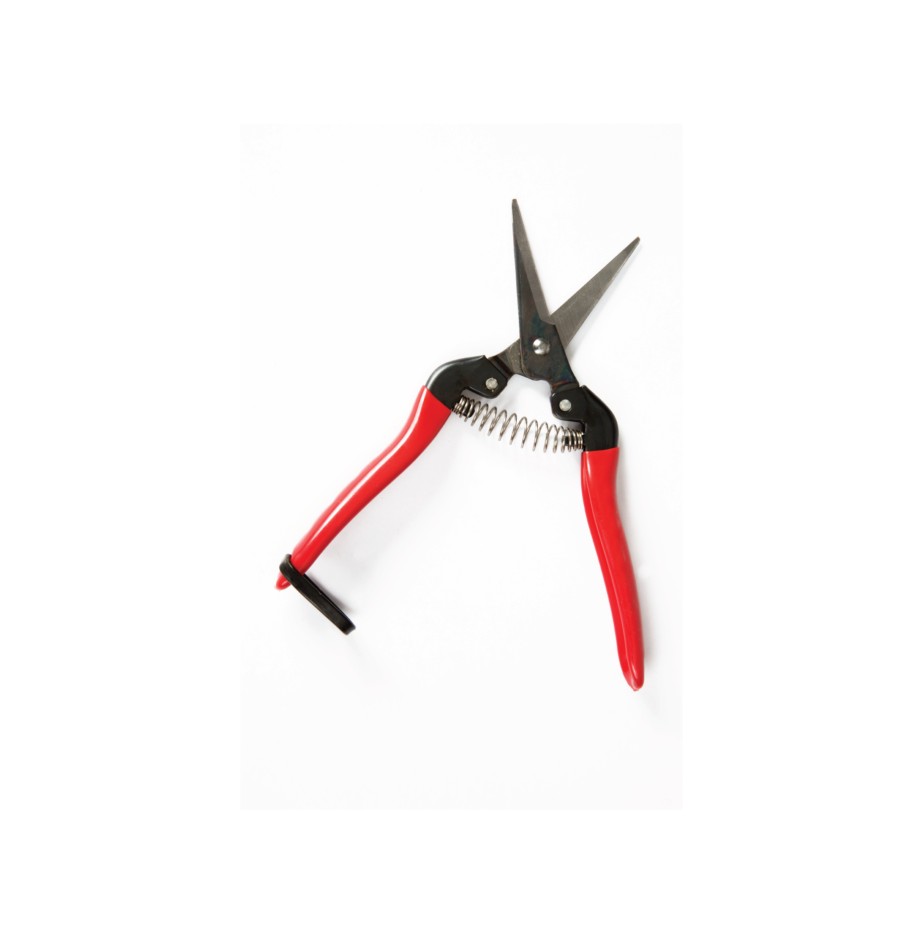 ARS Hand Shears-Pic Open-29.png