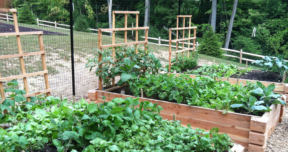Raised Garden Beds with Empire Trellises