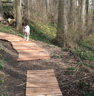 Cedar Garden Path-pic-White-08.png