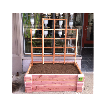 Trellis-Picture2-2018.png