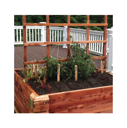 Trellis-Picture3-2018.png