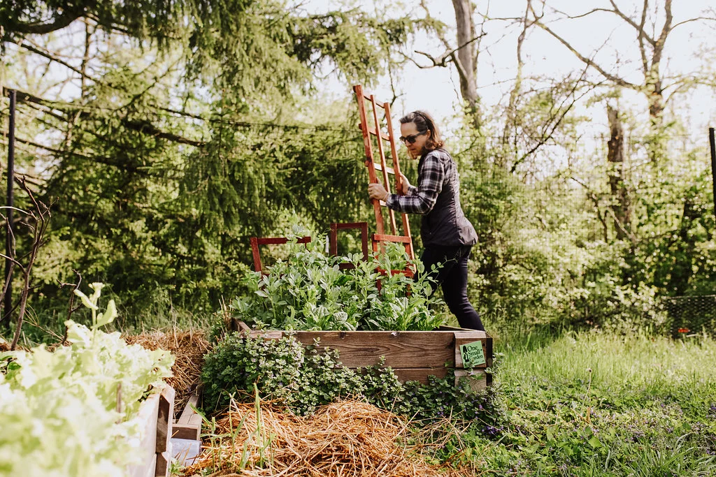 Trellis-Garden.jpg