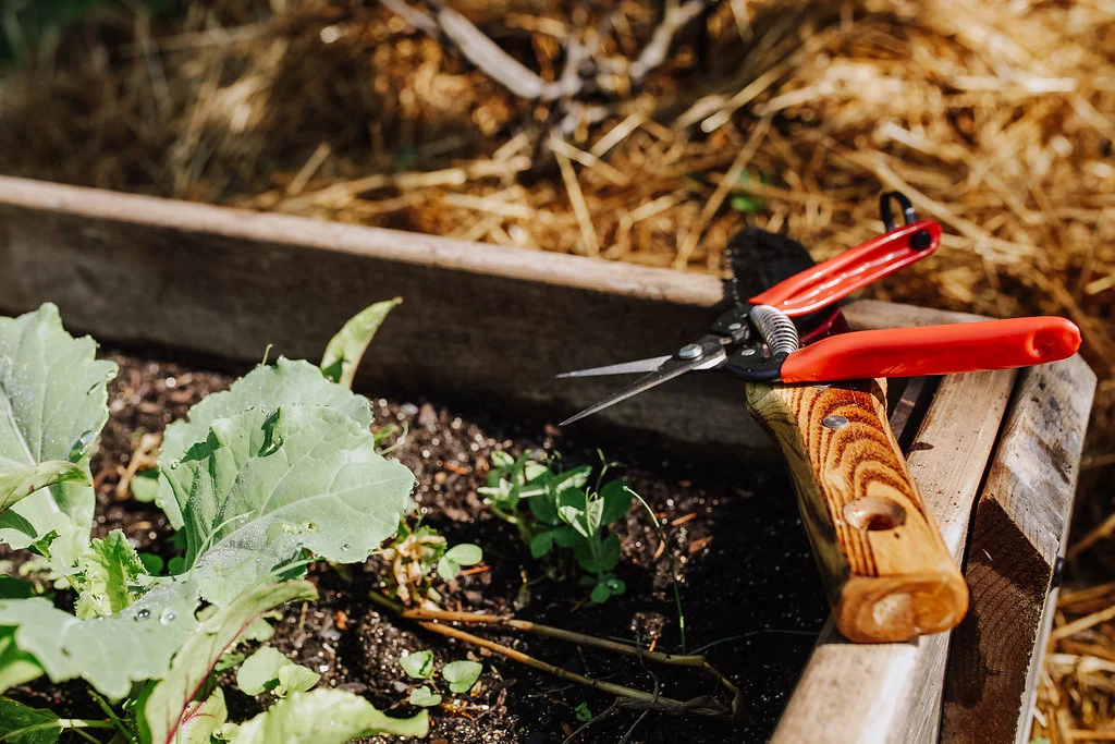 Pruner-Hori-Hori-Knife.jpg