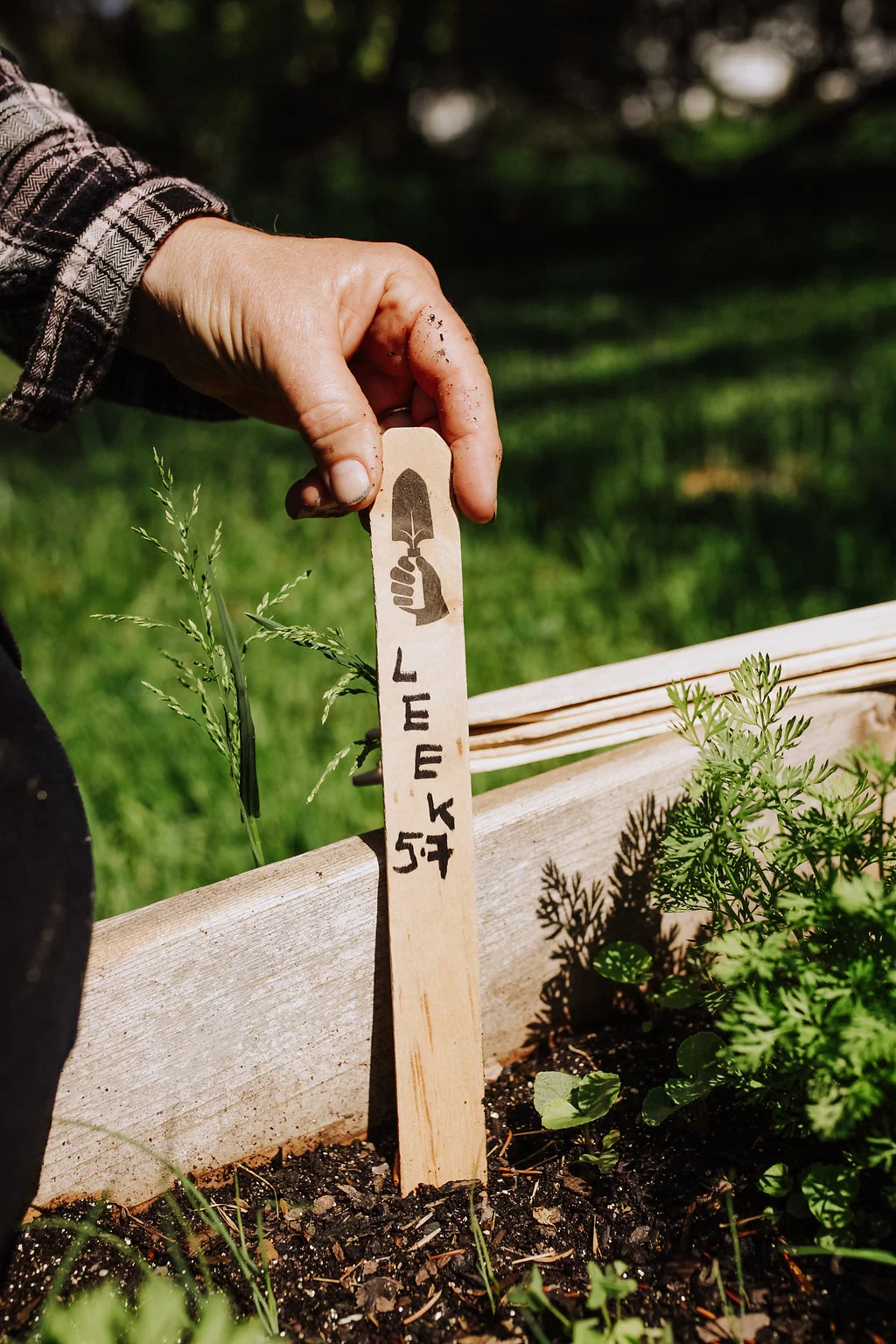 Garden-Row-Markers3.jpg