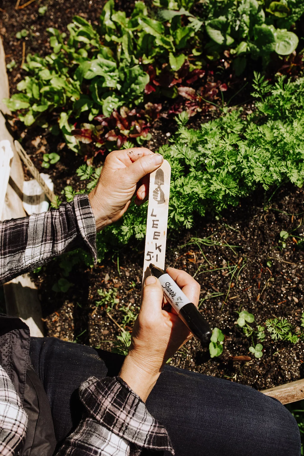 Garden-Row-Markers2.jpg