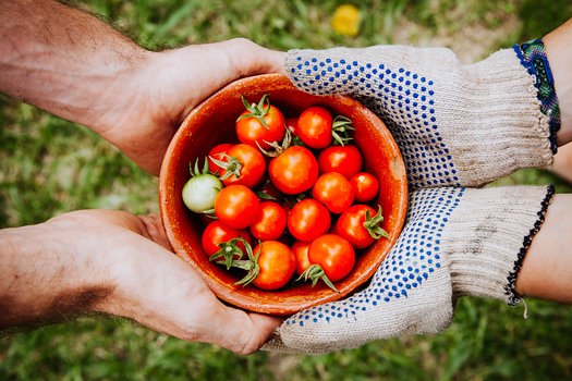 gardening-friends-elaine-casap.jpg