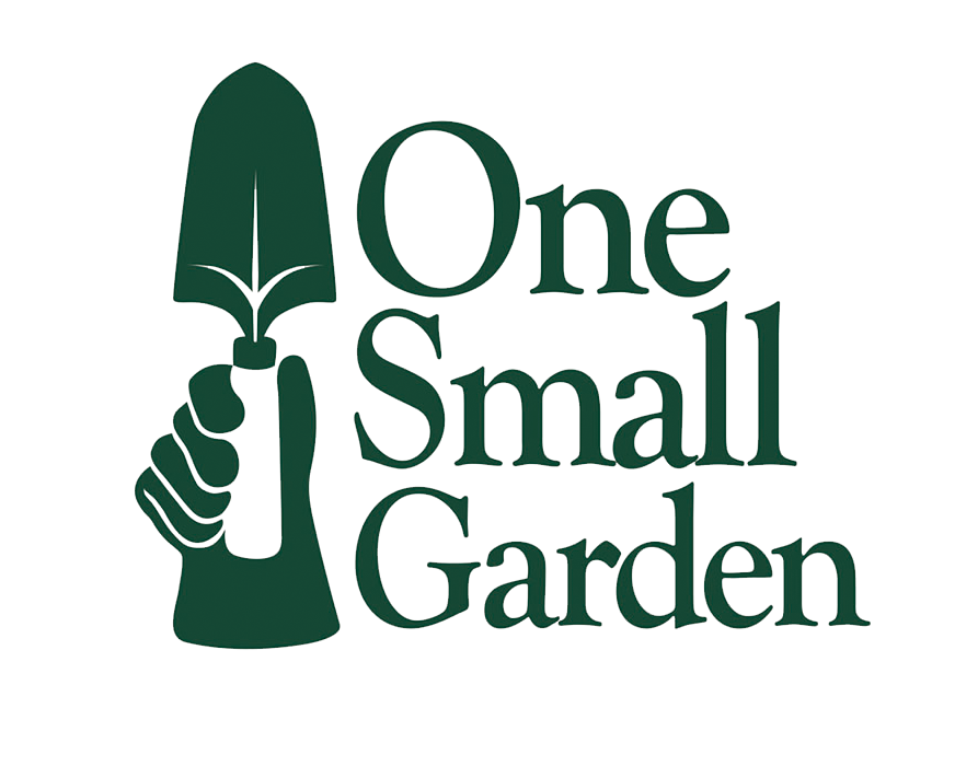 One_Small_Logo_No_Back.png