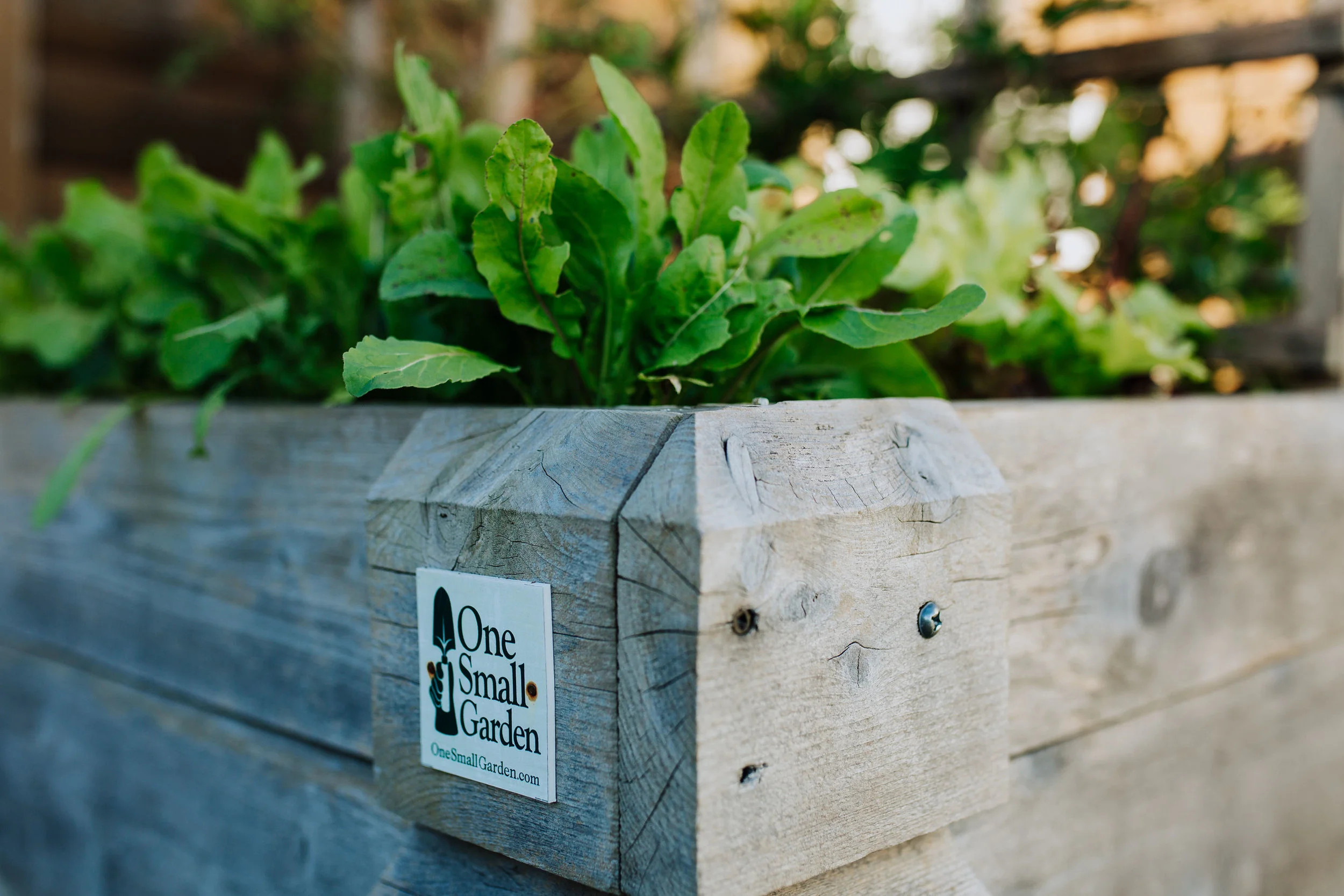 Raised Garden and Chicken Coop - One Small Garden