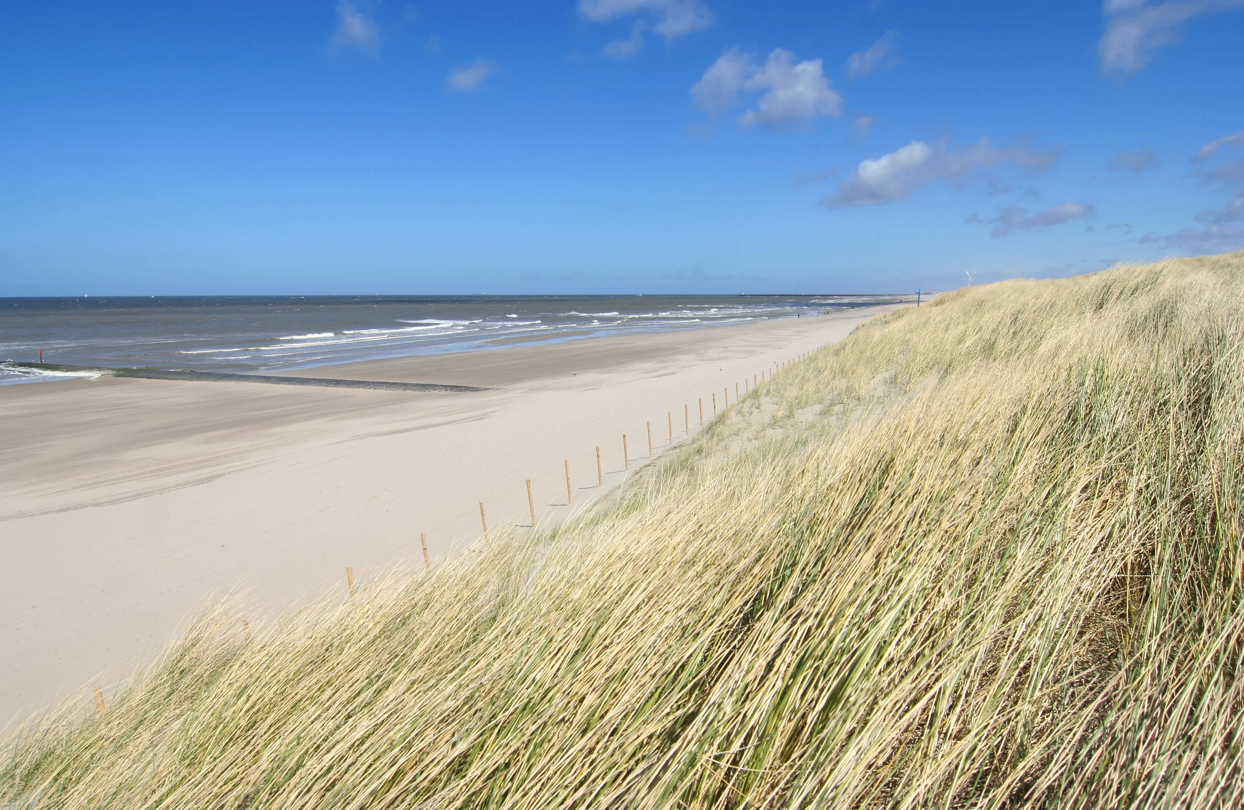 The Dutch Coast, Holland - featured on Kid & Coe.